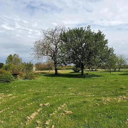 Merlinite - 4 Couchages *