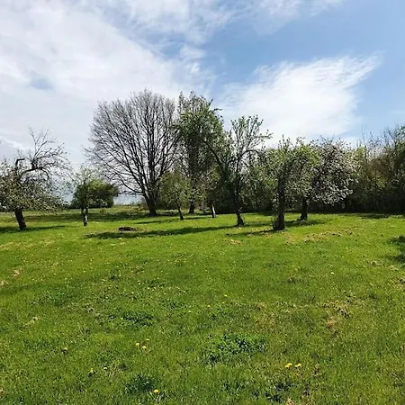 度假居 Merlinite - 4 Couchages Archigny